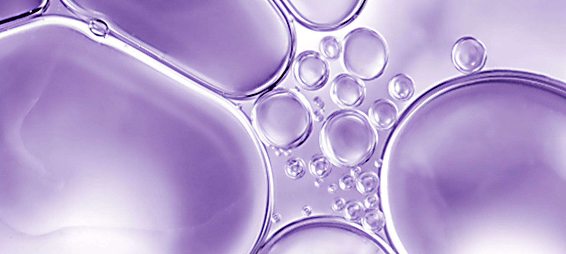 Nahaufnahme von Zellen