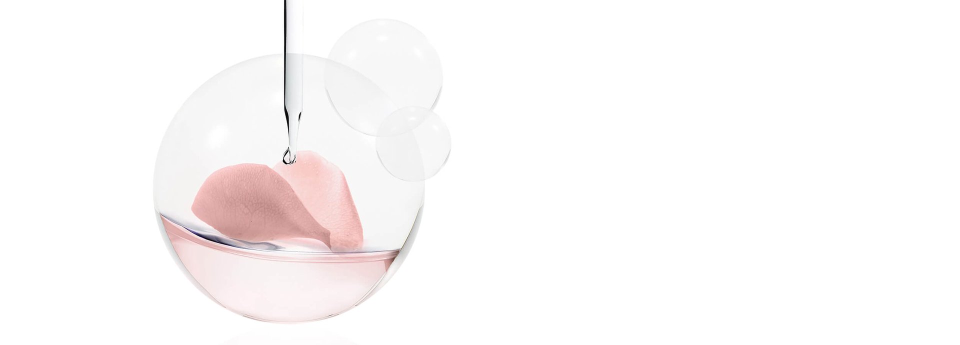 Bildhafte Darstellung einer Petrischale mit rosa Flüssigkeit und Geranien-Blüte