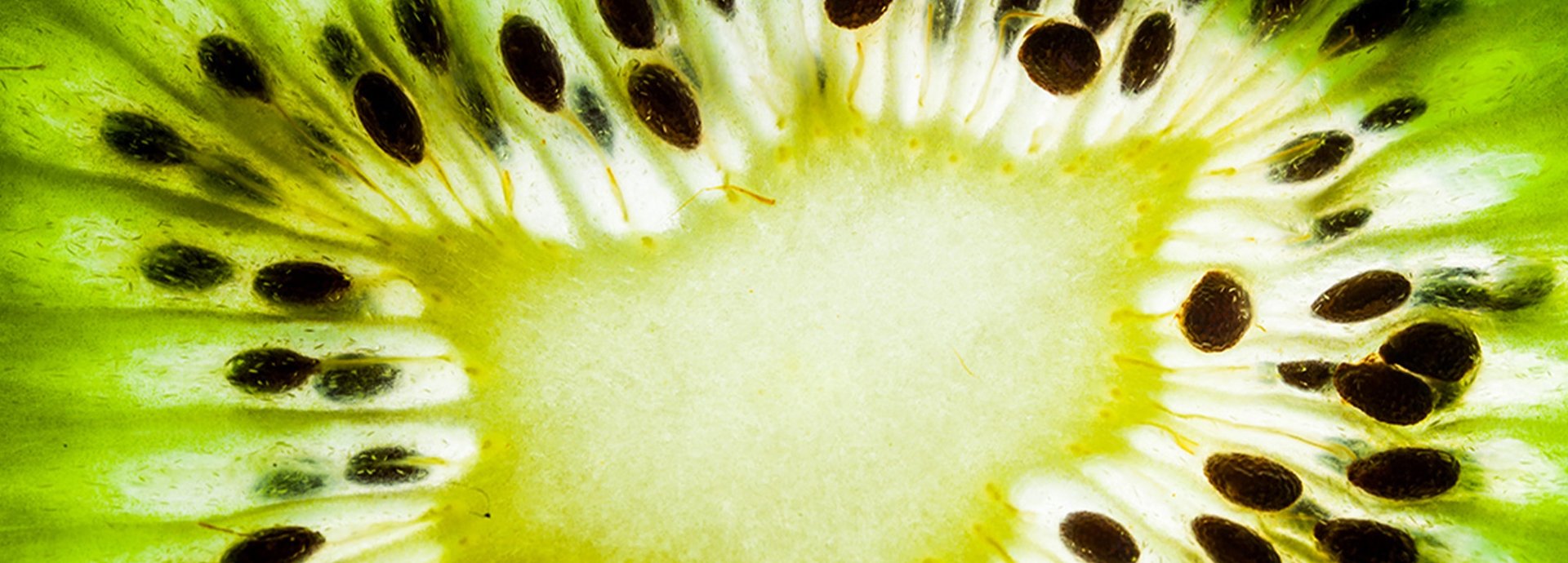 Nahaufnahme einer Kiwi