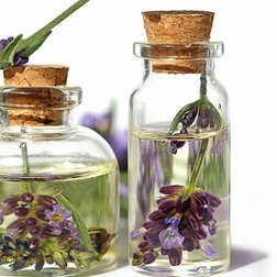 Fläschchen mit in Flüssigkeit eingelegten Lavendelblüten