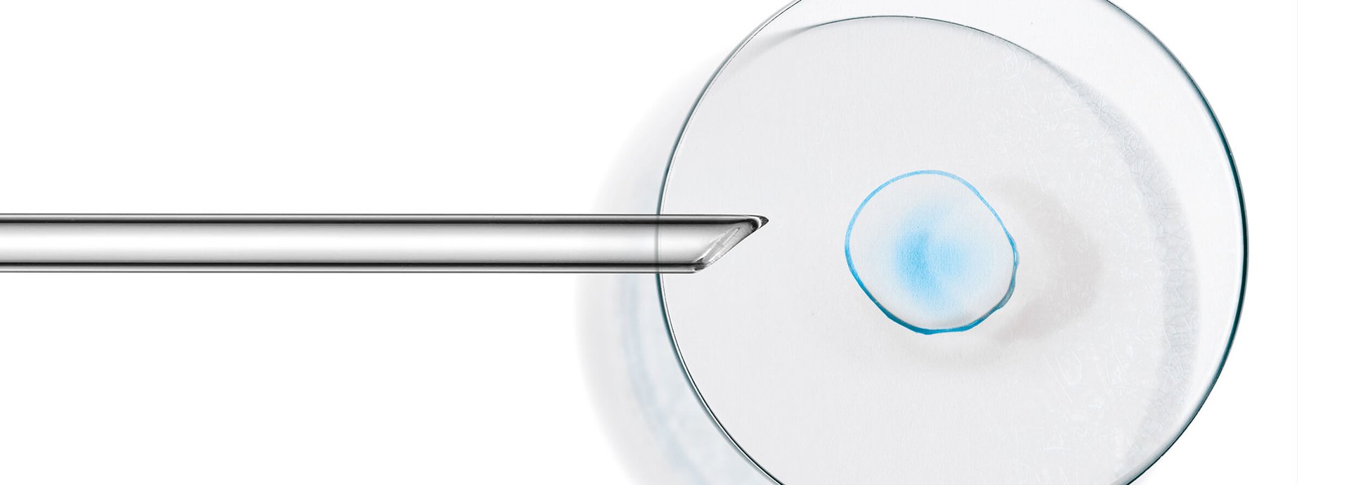 Tropfen Menthol-Extrakt wird aus Pipette in eine Petrischale getropft