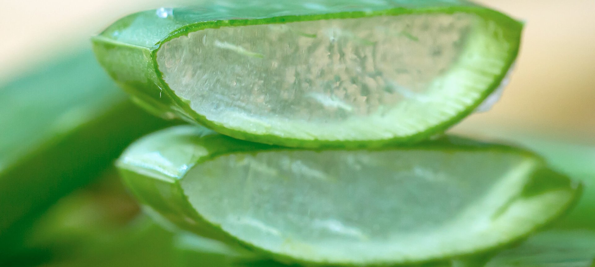 Three Aloe Vera Face Mask Recipes To Whip Up At Home Hero