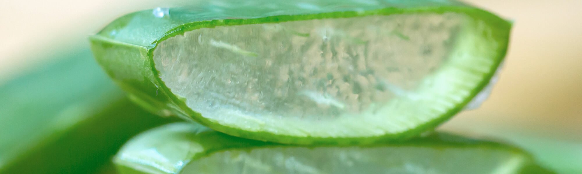 Three Aloe Vera Face Mask Recipes To Whip Up At Home Hero