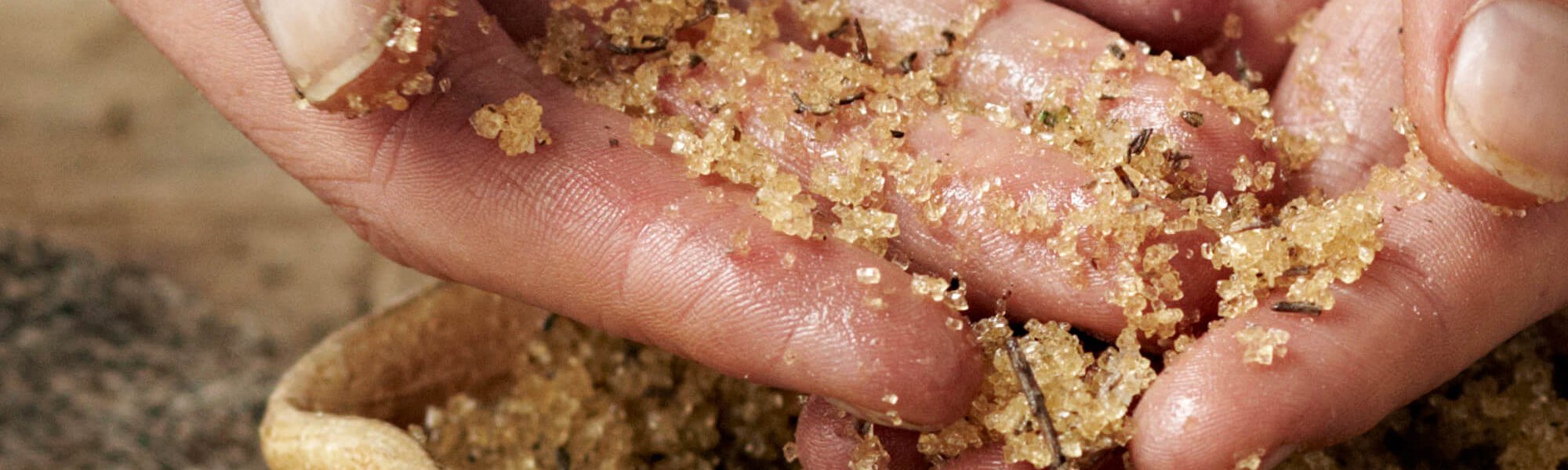 Body Scrubs Decoded Hero